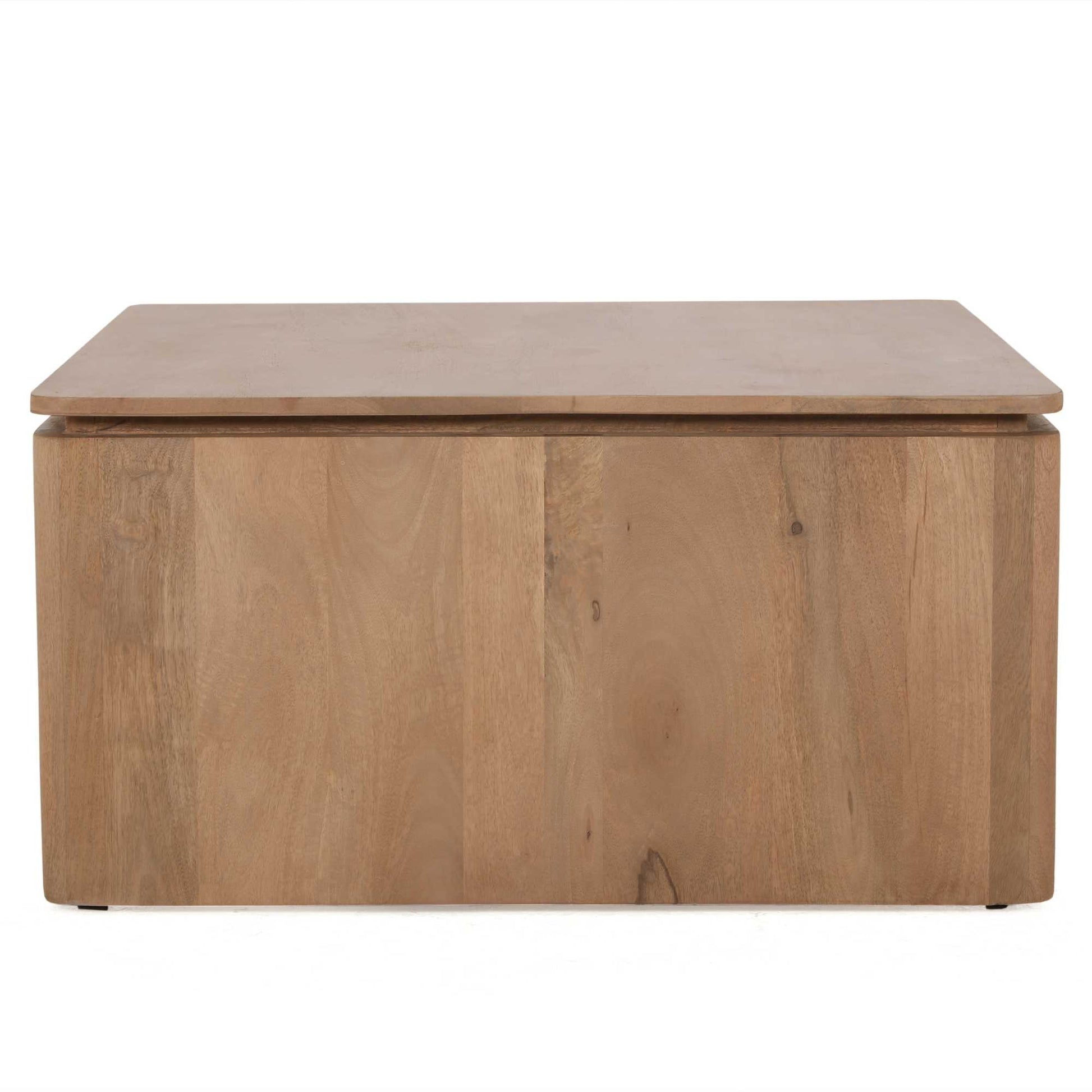 Vierkante Salontafel Dallas Naturel Mangohout 80 cm - foto 5
