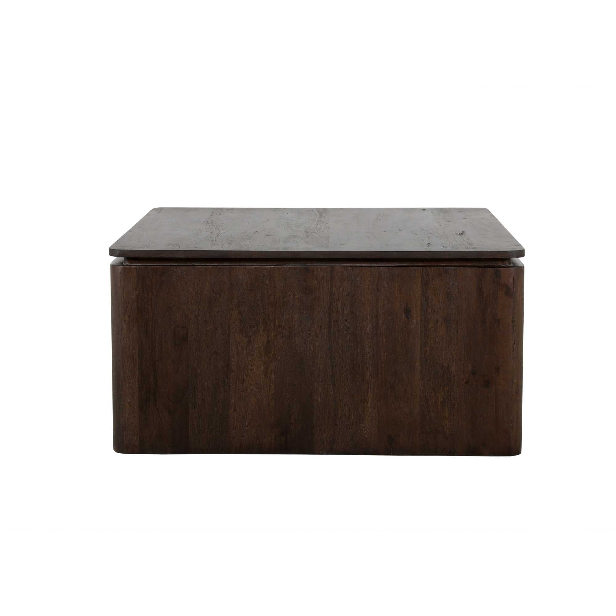 Vierkante Salontafel Dallas Bruin Mangohout 80 cm - foto 7