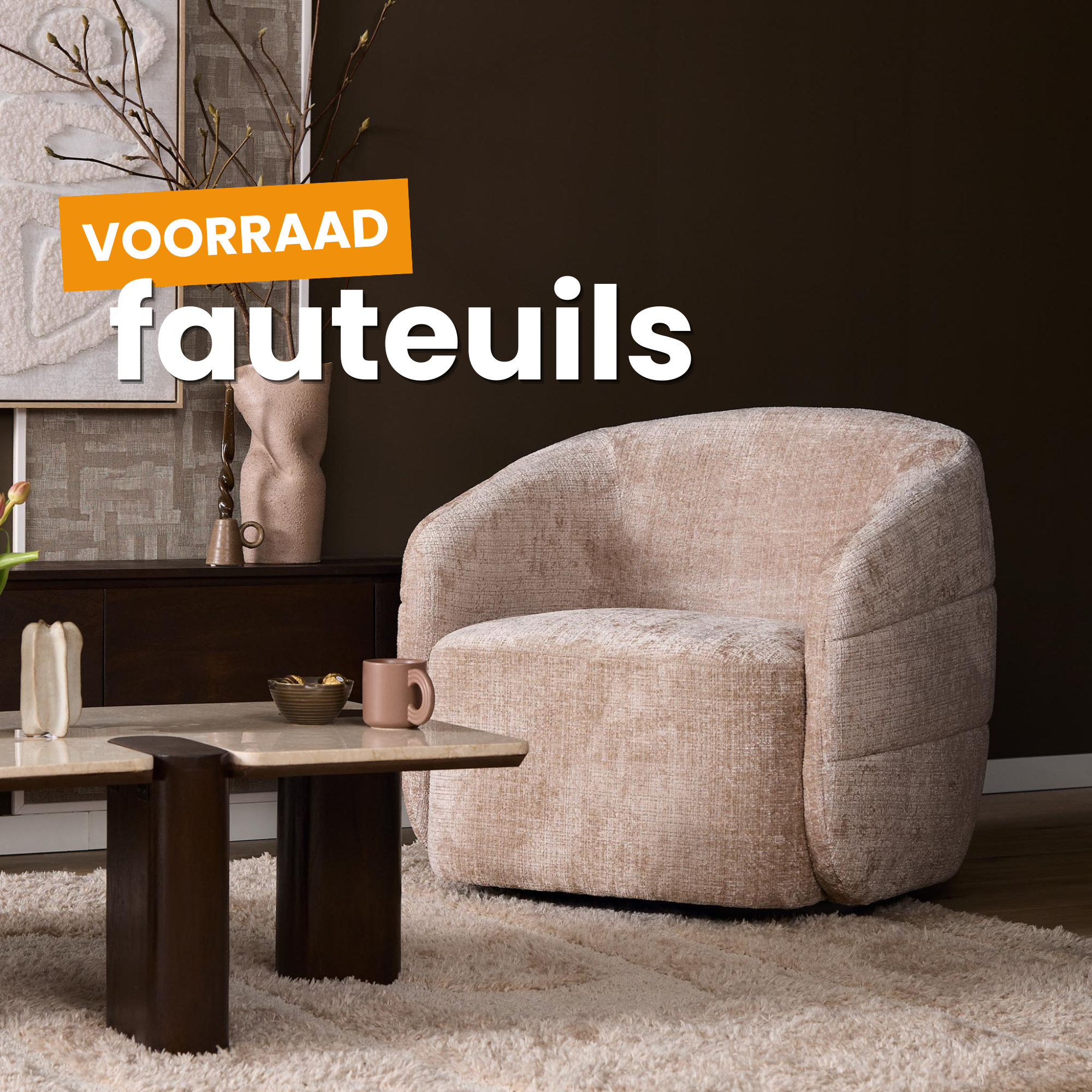 De Friese Meubeljongens