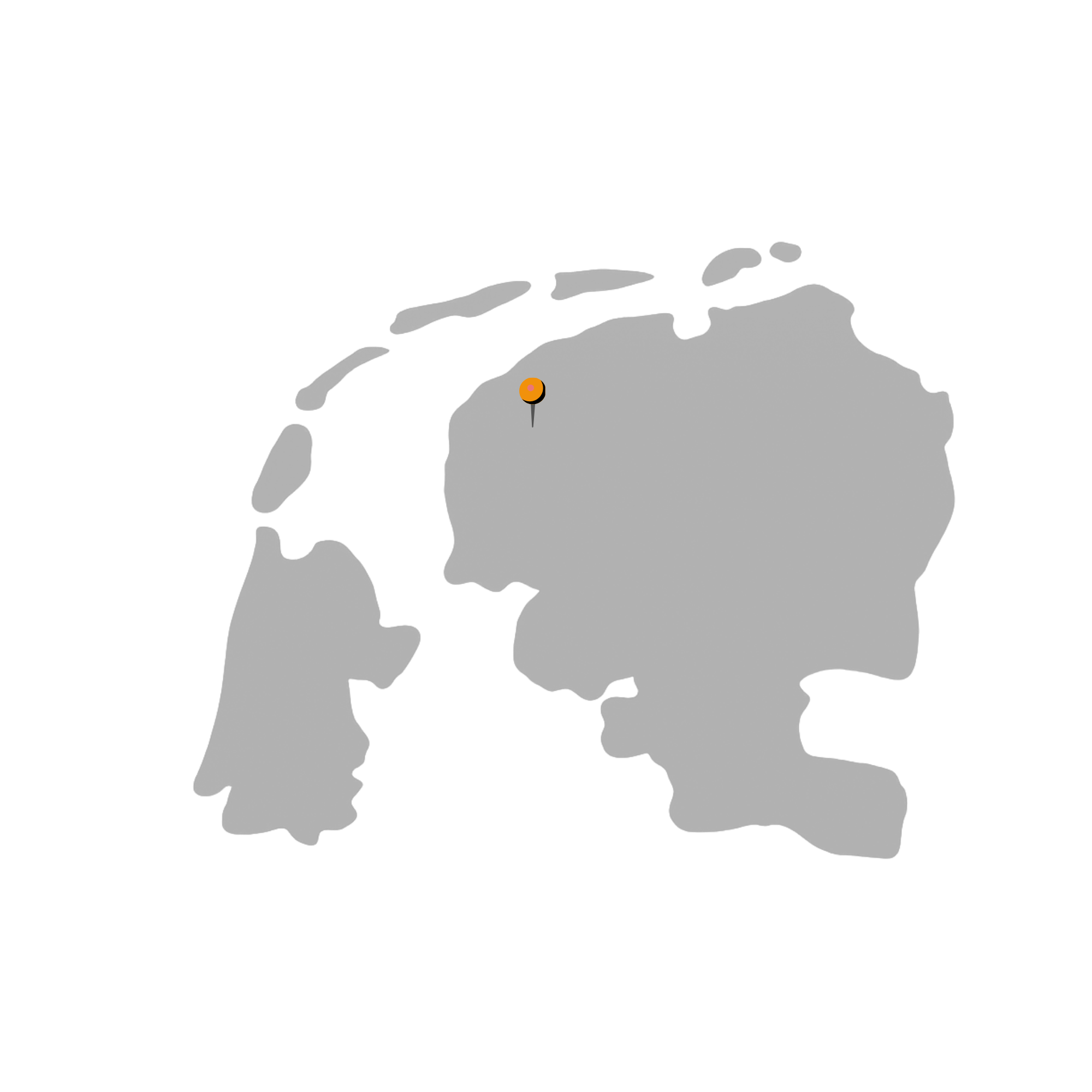 De Friese Meubeljongens