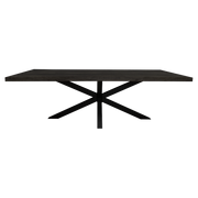 Rechthoekige Eettafel Denver Zwart Mangohout 160 cm