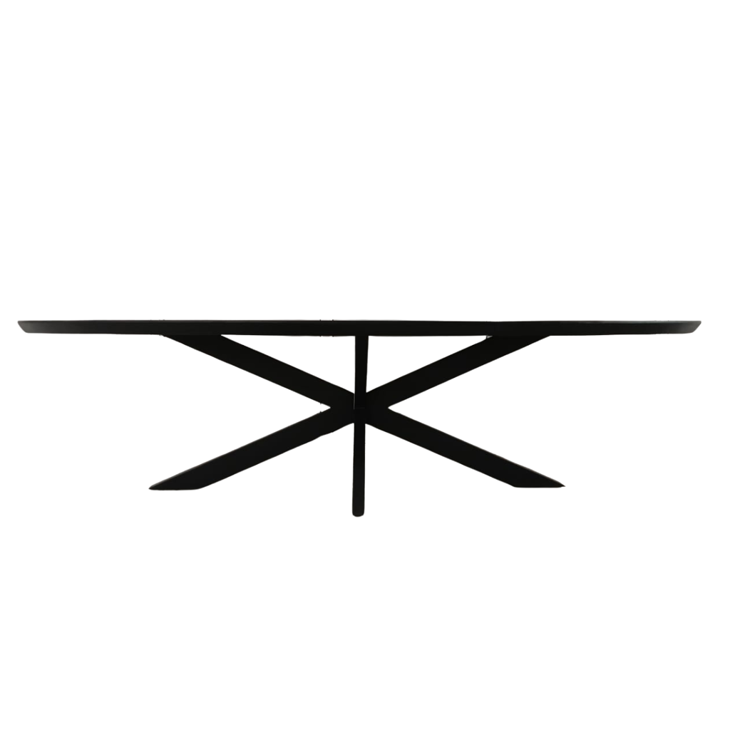 Ovale eettafel Brandy Zwart Mangohout 240 cm