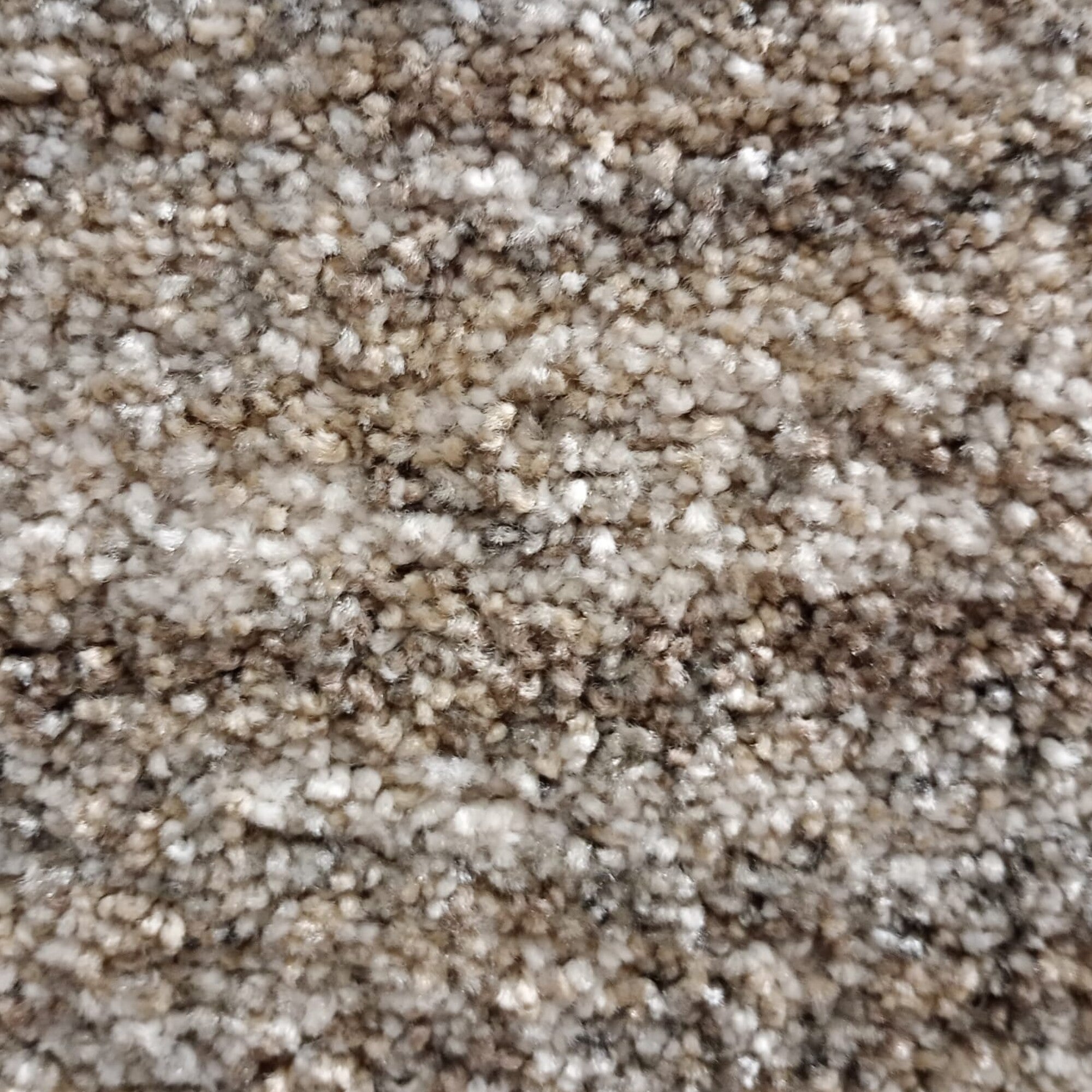 Vloerkleed Manchester Taupe - vlak