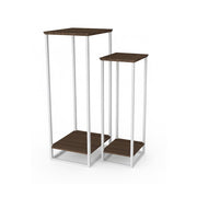 Plantentafel Martinique, set van 2