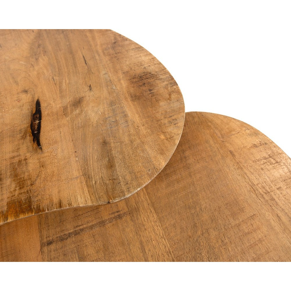 Salontafel Erfurt organisch, set van 2, Smooth Natural – afbeelding 3